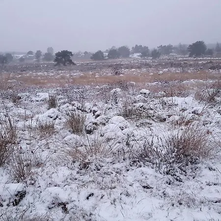 Heerlijk Verblijven In En Rust Op De Veluwe בית נופש אמסט