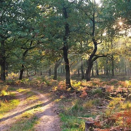 Heerlijk Verblijven In En Rust Op De Veluwe * Emst
