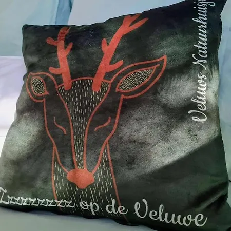 Heerlijk Verblijven In En Rust Op De Veluwe *