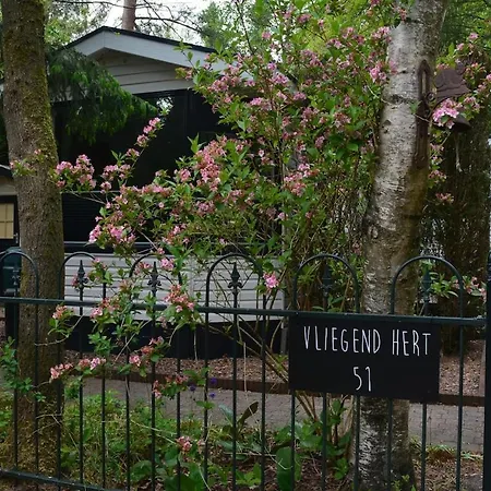 Heerlijk Verblijven In En Rust Op De Veluwe * Emst