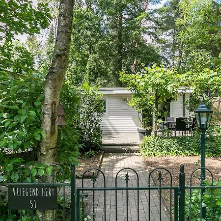 Heerlijk Verblijven In En Rust Op De Veluwe