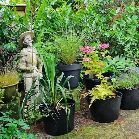 Heerlijk Verblijven In En Rust Op De Veluwe *