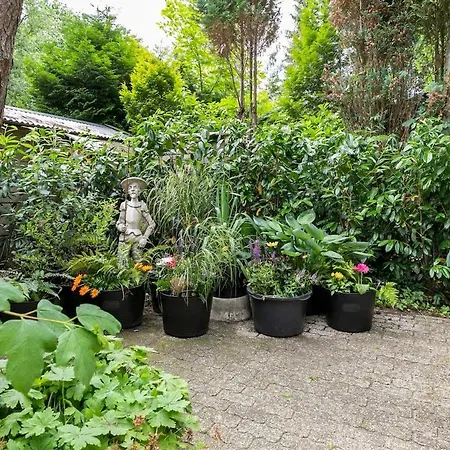Heerlijk Verblijven In En Rust Op De Veluwe Emst
